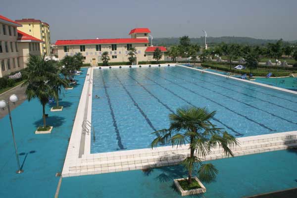 為什么游泳池內(nèi)不能有綠藻的產(chǎn)生？